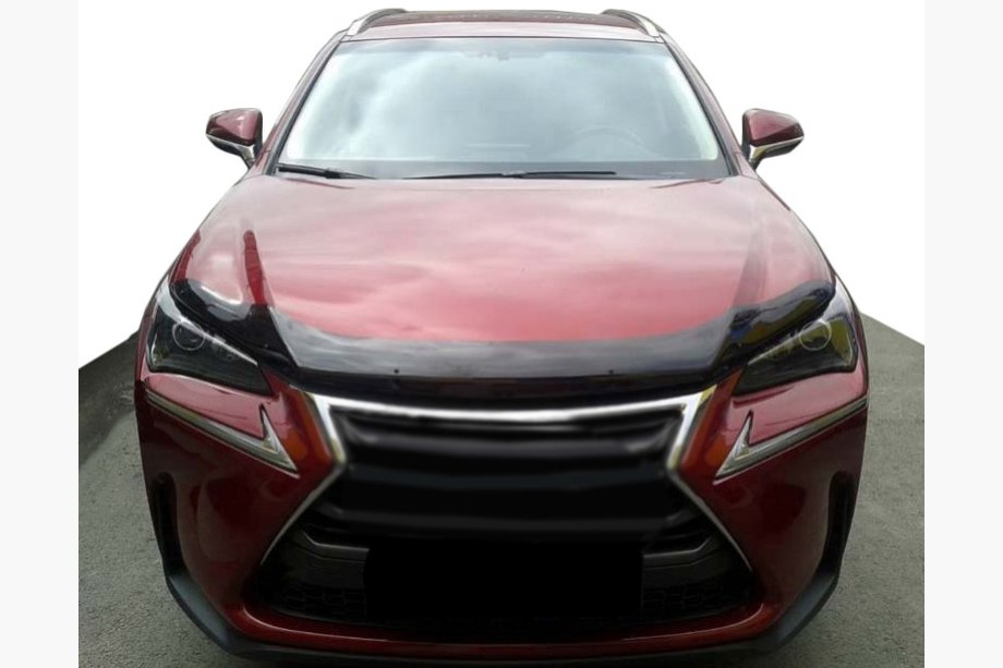 Lexus NX 2014-2021 Deflettore cofano 2014+ (SIM) Image