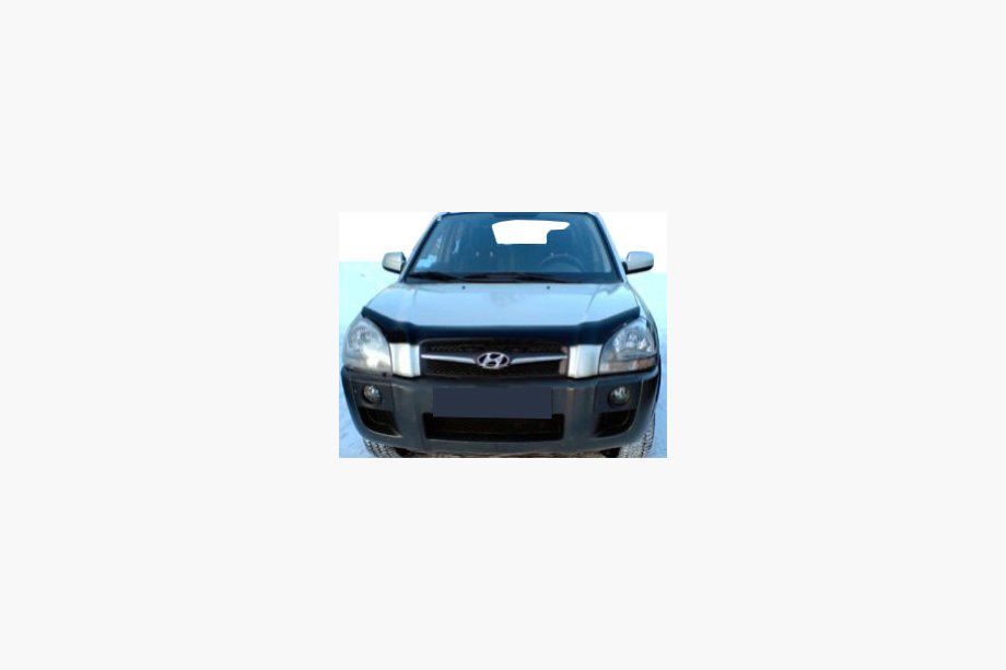 Hyundai Tucson JM 2004- Deflettore cofano (SIM) Image