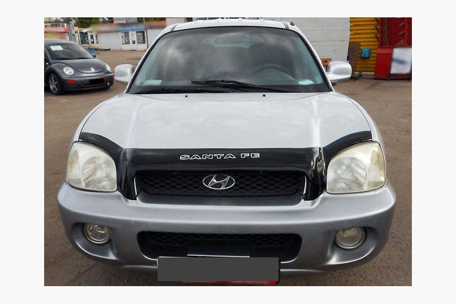 Hyundai Santa Fe 1 2000-2006 Deflettore cofano (VIP) Image