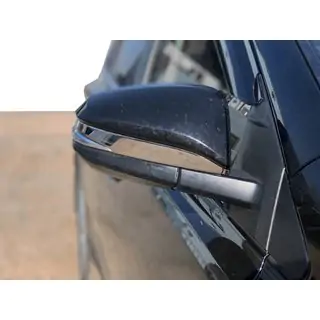 Coperture Specchietti (2 pz, Acciaio Inox)