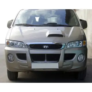 Labbro anteriore centrale (primer per verniciatura) Hyundai H200, H1, Starex 1998-2007 foto 1