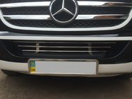 Mercedes Sprinter W906 2006–2018 Griglia paraurti (acciaio inox) foto 2
