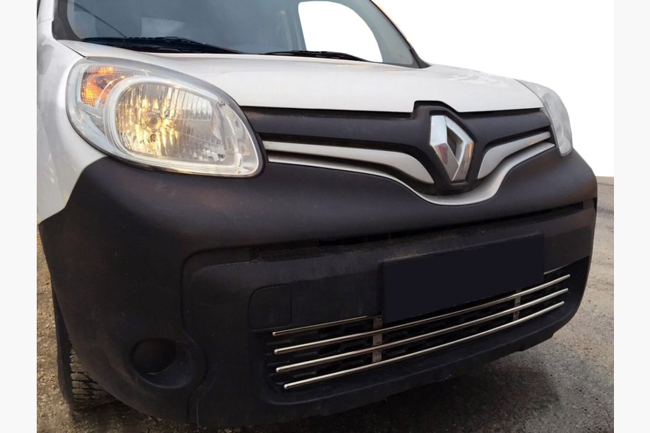 Renault Kangoo 2008–2020 Griglia paraurti monoblocco in acciaio inox Image