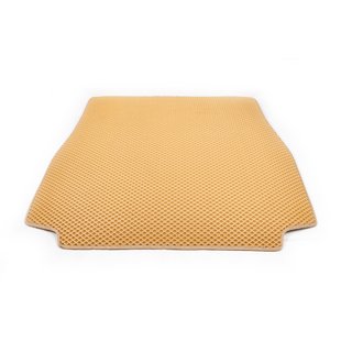Tappetino bagagliaio (EVA, Beige) BMW X5 E53 1999–2006 foto 1