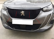 Peugeot 2008 2019- Cornici griglia (3 pz, acciaio inox) foto 1