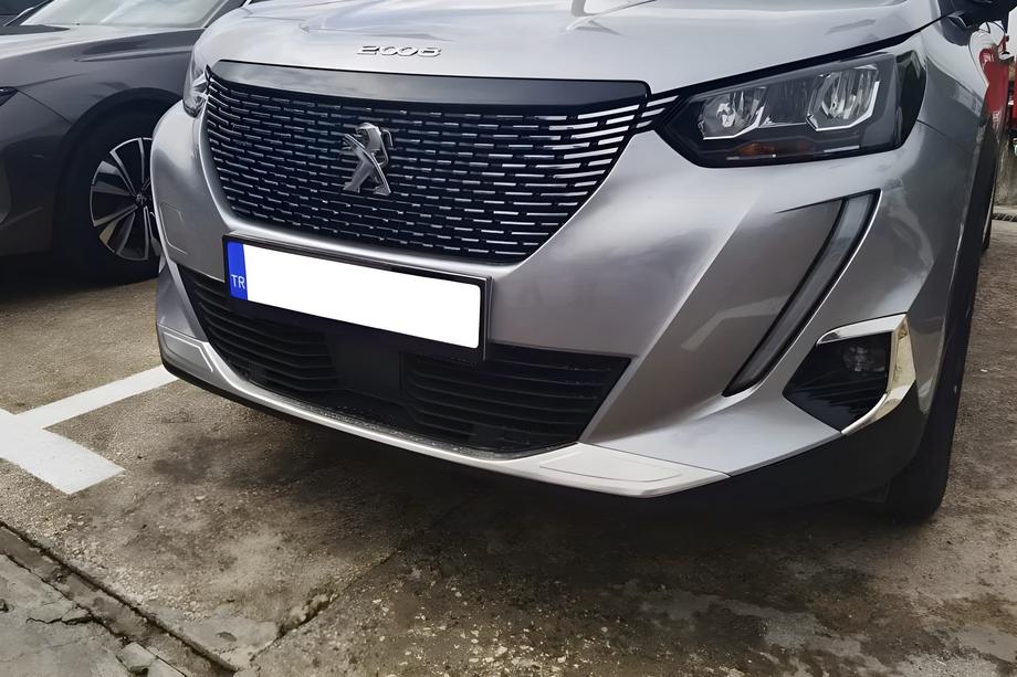 Peugeot 2008 2019- Copertura fendinebbia (2 pz, acciaio inox) Foto 1