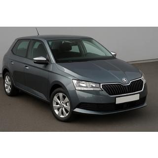 Coperture specchietti con foro per freccia (2 pz, acciaio inox) Skoda Fabia 2014-2021 foto 1