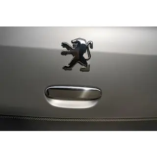 Cover maniglia portellone cromata (acciaio inox)