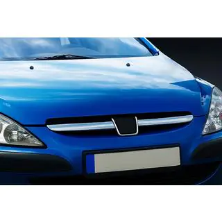 Coperture griglia cromate (2001-2005, 2 pz, acciaio inox)