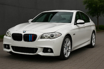 BMW 5 Series F10/F11 2010–2016 Inserti griglia 2010-2013 (3 pz) foto 1