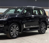 Lexus LX 500d/600 2022- Modanature nere per porte F-Sport bianco+nero (4 pz, ABS) foto 4