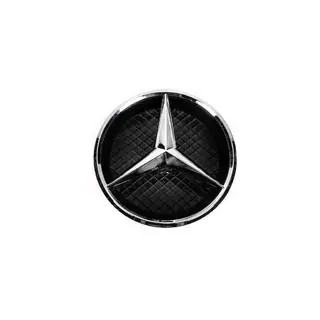 Emblema anteriore con supporto (21cm) foto 1