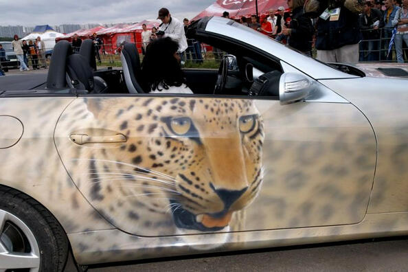 Vinilografia o aerografia di un’auto: quale è meglio? Foto 3