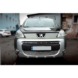 Coperture griglia (2 pz, acciaio inox) Peugeot Partner Tepee 2008-2018 foto 1