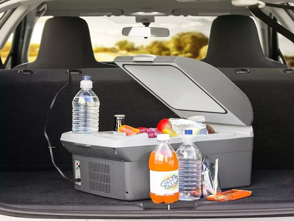 Come scegliere un frigorifero per auto: criteri e raccomandazioni importanti