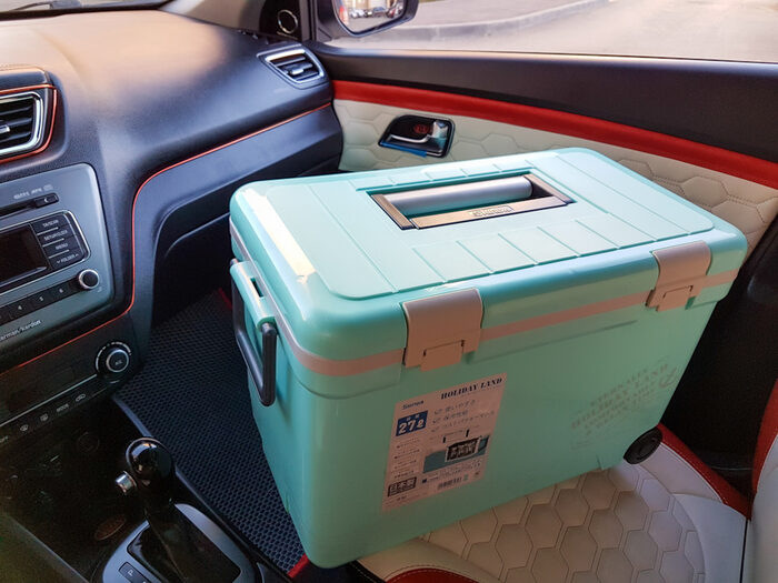 Box termico in macchina: un assistente indispensabile in viaggio