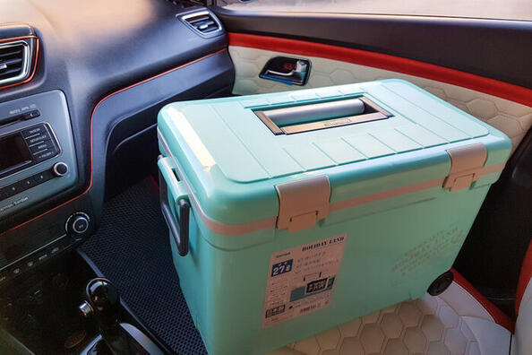 Box termico in macchina: un assistente indispensabile in viaggio