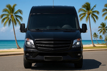 Mercedes Sprinter W906 2006–2018 Griglia anteriore Exclusive 2013-2018 (primer per verniciatura) foto 4