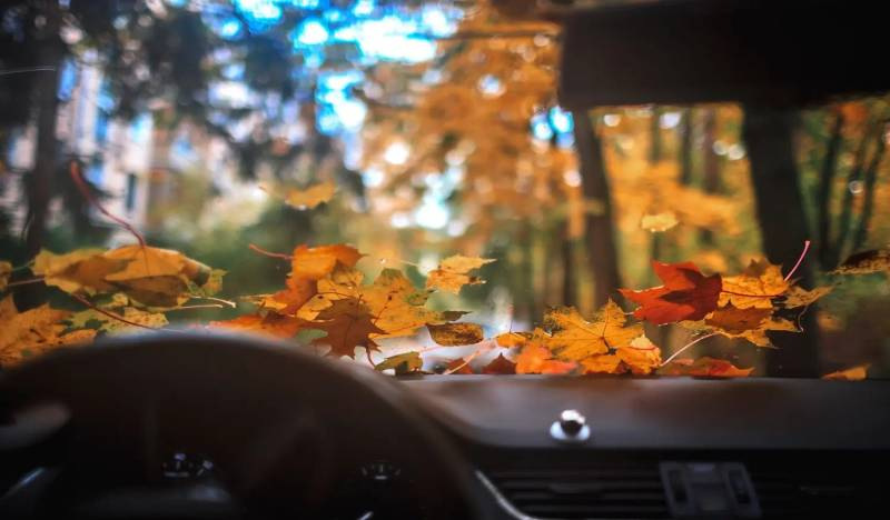 Come preparare la macchina per l’autunno