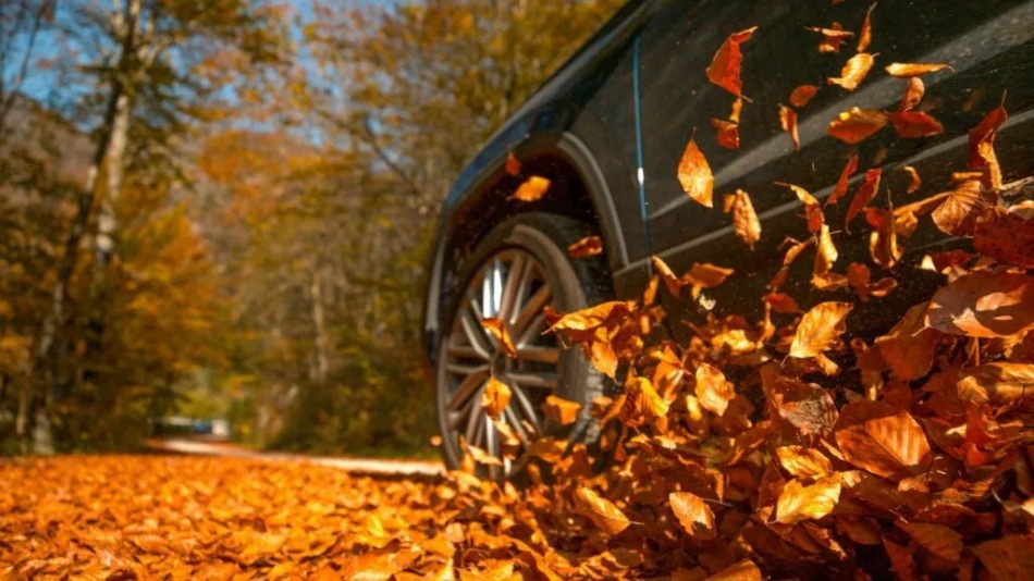 Cinque errori che possono portare a un incidente stradale in autunno
