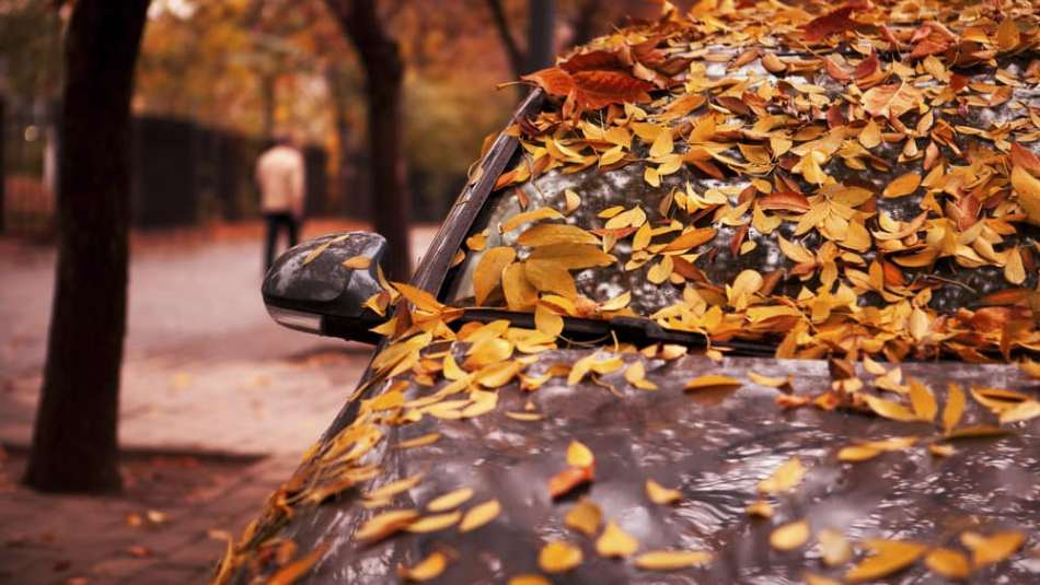 Come prendersi cura dell’auto in autunno?