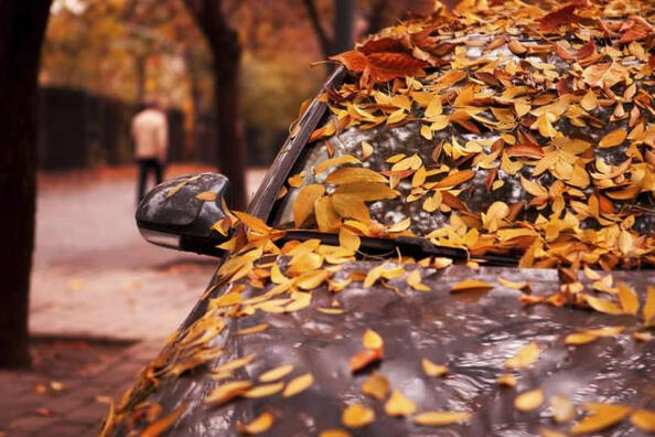 Come prendersi cura dell’auto in autunno?