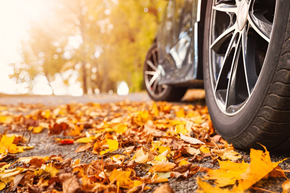 Quali pneumatici sono i migliori per l’autunno?