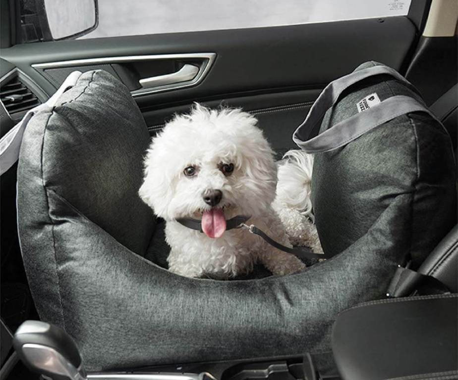 Viaggiare con animali domestici: come rendere il viaggio piacevole per il tuo amico