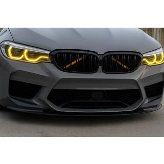 Calandra M-Look (2017-2020, Nero Lucido) BMW Serie 5 G30/G31 2017–2023 foto 1