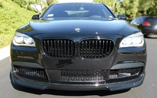 BMW 7 Series F01/F02 2008-2015 Griglia Rene 1 Barra (Nero Lucido) foto 1