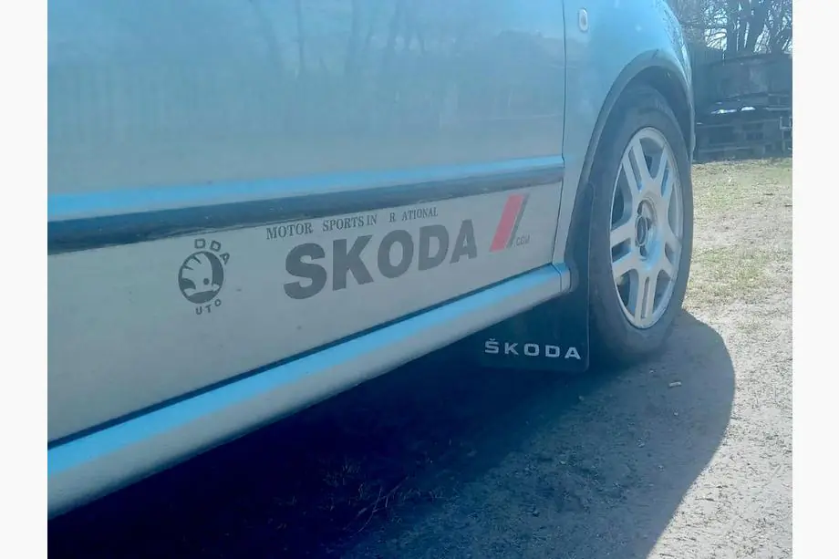 Skoda Paraspruzzi universali Polytep (230*375, 2 pz) Foto 4