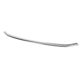 Protezione paraurti anteriore (1 pz, acciaio inox) foto 2