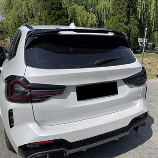 Spoiler V3 (Carbonio) foto 1