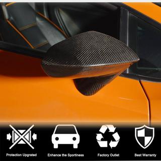 Cover Specchietti in Carbonio foto 3