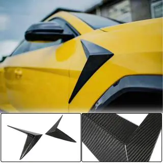 Coperture parafanghi V1 (Dry Carbon) foto 1