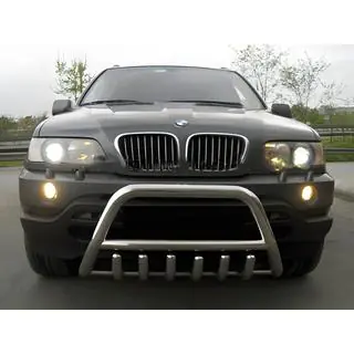 Parabullbar WT003 (Acciaio Inox) foto 3
