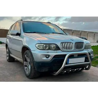 Parabullbar WT003 (Acciaio Inox) foto 1