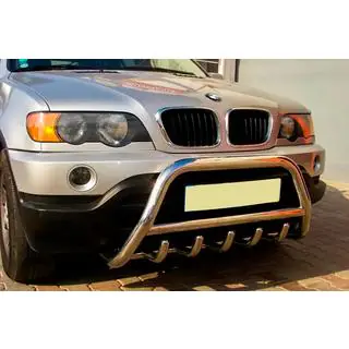 Parabullbar WT003 (Acciaio Inox) foto 2