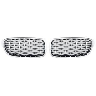 Calandra a Doppio Reni Diamond Silver (Cornice Cromo) foto 2