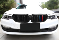 BMW Serie 5 G30/G31 2017–2023 Calandra Doppio Rene 1 Barra (2017-2020, M-Color) foto 3