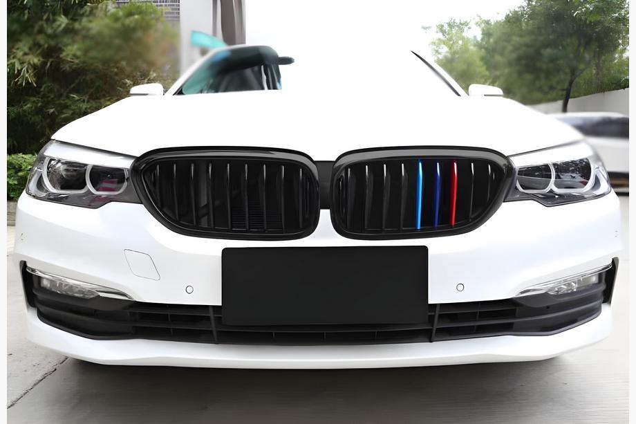 BMW Serie 5 G30/G31 2017–2023 Calandra Doppio Rene 1 Barra (2017-2020, M-Color) Foto 3