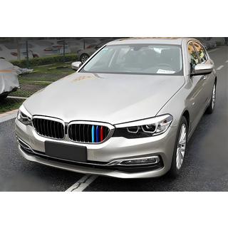 Calandra Renale 1 Bar (2017-2020, M-Color con cornice cromata) BMW Serie 5 G30/G31 2017–2023 foto 1