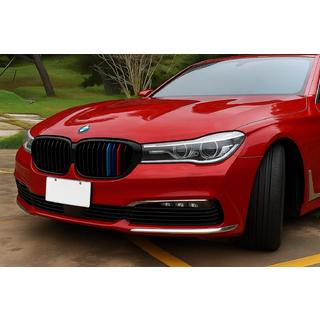 Calandra Reniforme 1 Bar (2016-2019, M-Color) BMW 7 Series G11/G12 2015-2022 foto 1