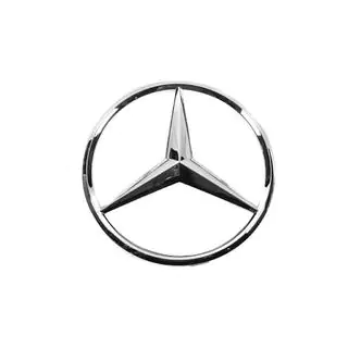 Emblema anteriore (OEM) foto 2