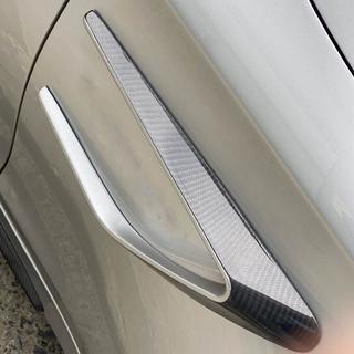 Coperture parafanghi anteriori in carbonio (per Coupé/Cabrio C63 AMG 2015-2019) foto 3
