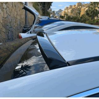 Visiera Spoiler (Carbonio) foto 2
