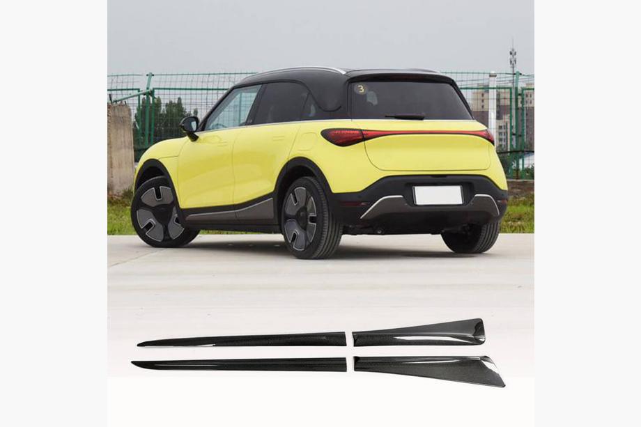 Smart 1 2022- Minigonne Laterali (Carbonio) Image