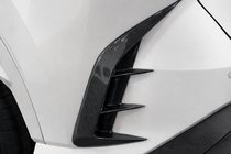 Lexus RX 2022- Copertura paraurti posteriore in carbonio foto 2