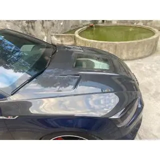 Cofano Carbonio V1 (2020-2024) foto 3