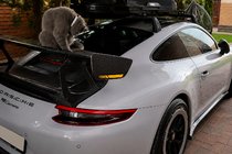 Porsche 911 (991) 2011–2019 Spoiler V4 (Carbonio) foto 2
